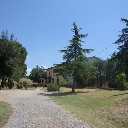 Agriturismo Podere Selvette Campagnatico Экстерьер фото