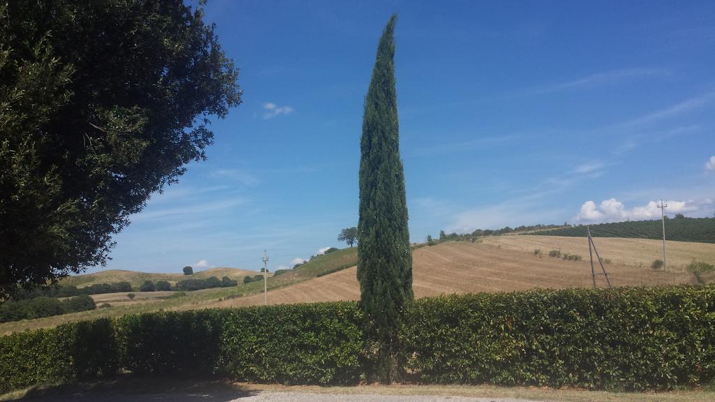 Agriturismo Podere Selvette Campagnatico Экстерьер фото