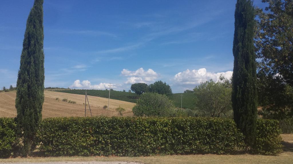 Agriturismo Podere Selvette Campagnatico Экстерьер фото