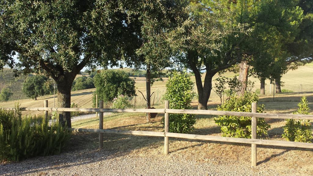 Agriturismo Podere Selvette Campagnatico Экстерьер фото