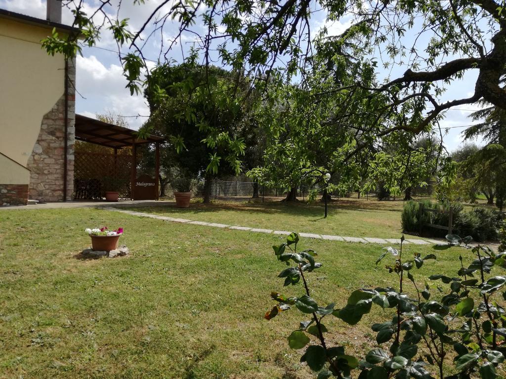 Agriturismo Podere Selvette Campagnatico Экстерьер фото