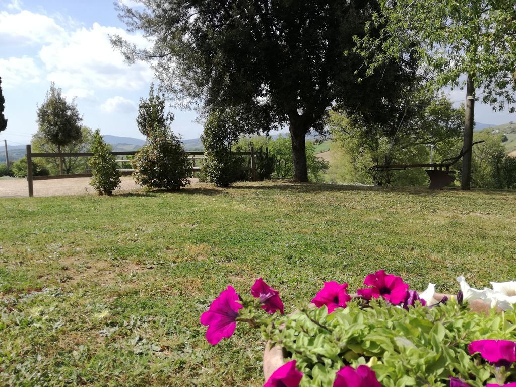 Agriturismo Podere Selvette Campagnatico Экстерьер фото